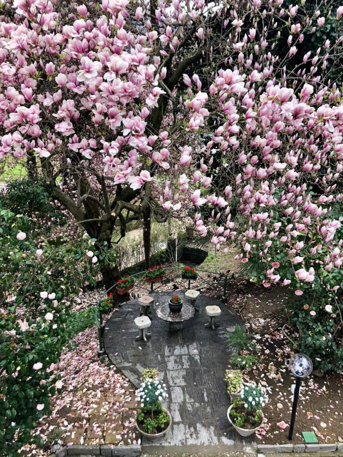 Villa Monica ルイーノ エクステリア 写真
